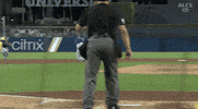 Excited Tampa Rays GIF by Jomboy Media