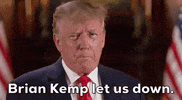 Donald Trump Georgia GIF by GIPHY News