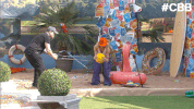 bbuk big brother reality tv cbb celebrity big brother GIF