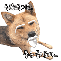 Dog 강아지 Sticker