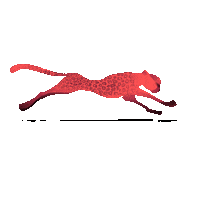 Srenia leo leopard леопард Sticker