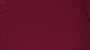 College Baseball GIF by Pearl River Athletics
