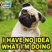 No Idea What GIF by Lucas and Friends by RV AppStudios