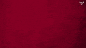 Celebration Martins GIF by Elan Chalon