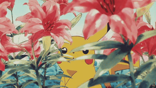 pokemon flower GIF