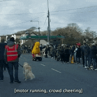 St Patricks Day GIF by Storyful