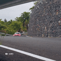 Islas Canarias Car GIF by FIA World Rally Championship
