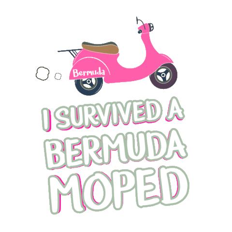 Bike Survivor Sticker by Bermemes