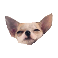 gue STICKER by imoji