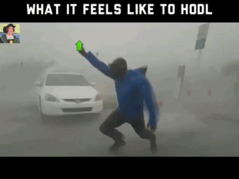 to the moon bitcoin GIF