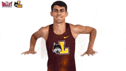 The Valley Mvc GIF by Missouri Valley Conference