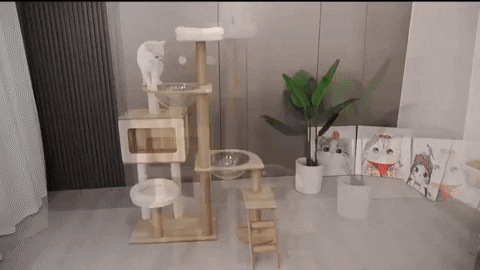 parisleelee giphyupload GIF