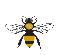 Bumblebee Beesyu Sticker by York University
