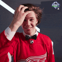 nhl sports sport hair hockey GIF