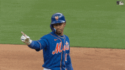 Major League Baseball Sport GIF by New York Mets