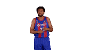 Liga Endesa Basketball Sticker by ACB