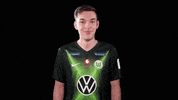 E Sports Sport GIF by VfL Wolfsburg