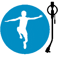 Vinyl Turntable Sticker by Lakeshore Records