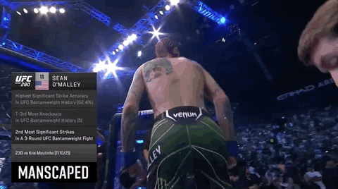Mixed Martial Arts Sport GIF by UFC