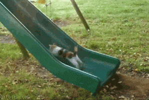 class motivation GIF
