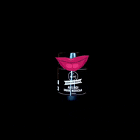 Schmackofatzig food style taste schmackofatz GIF