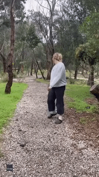 Woman Fends Off Feisty Kangaroo Wearing Crocs and Socks