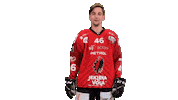 Stojan Sticker by HDD SIJ Acroni Jesenice