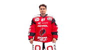 Sport Celebration Sticker by HDD SIJ Acroni Jesenice