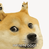 Doge GIF