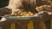 hungry dinner GIF by Isola dei Famosi