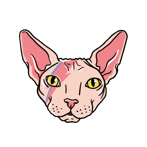 vanessanoerenbergarts giphyupload cat luck bowie Sticker