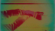 blossomrecords rainbow music video color flying GIF