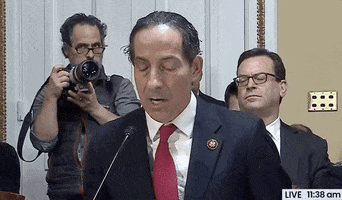 news impeachment jamie raskin articles of impeachment house rules committee GIF