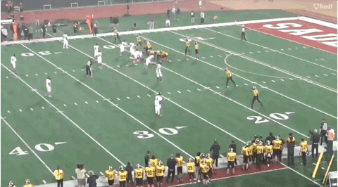 Derp42 giphyupload GIF