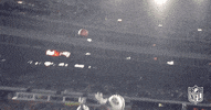 new york jets football GIF by NFL