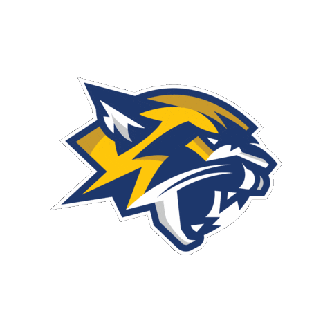 NeiowaCC giphygifmaker chase cougars nicc Sticker