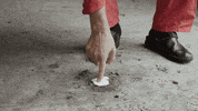 klypa taste accepted tasting klypa GIF