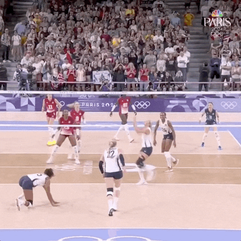 Olympic Games Sport GIF by NBC Olympics