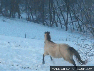 snow GIF