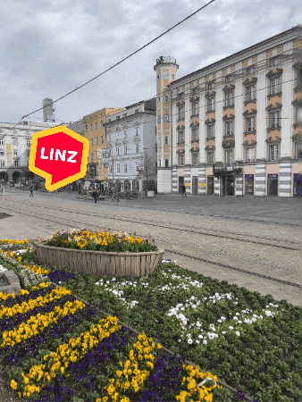 Spring Wow GIF by Linz News