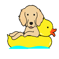 Golden Retriever Dog Sticker