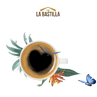 Mariposaslabastilla Sticker by ChocolatesJet