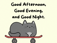 Jim Carrey Laughing GIF by MESA My Emotional Support Animal