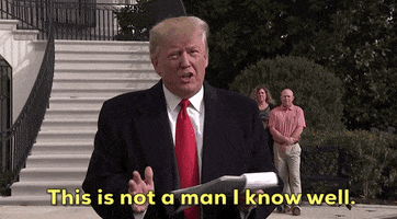 trump donald trump i dont know her this is not a man i know well GIF