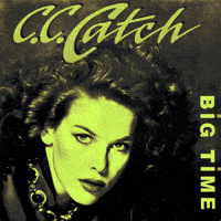 80S Cccatch GIF