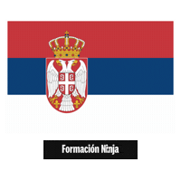 Flag Pixel Art Sticker by Formación Ninja
