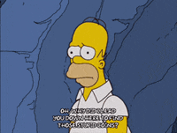 homer simpson episode 13 GIF