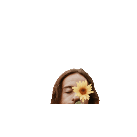 Sunflower Sticker by Adam Wendler