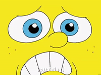 season 3 GIF by SpongeBob SquarePants