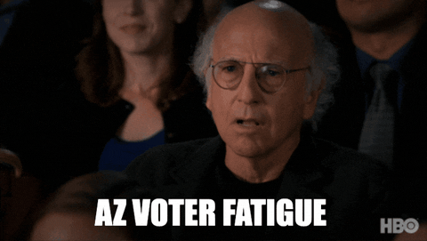 barrettkbeall giphygifmaker larry david voter fatigue GIF